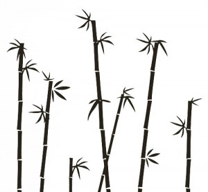 Bamboo