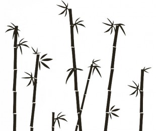 Bamboo