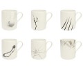 Fragile! cups