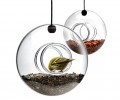 bird_feeder